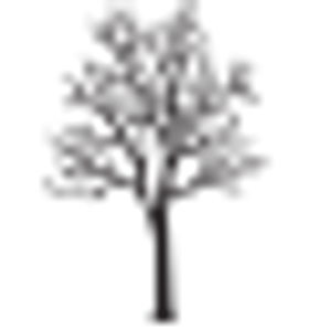 Tri-Point Tree & Landscaping LLC