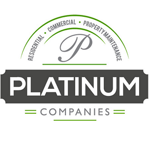 Platinum Companies. Inc - Logo