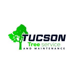 Tucson Tree Service and Maintenance