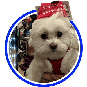 Dawg City Pet Supply and Nutrition Center