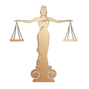 Top One Law