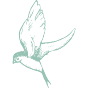 MeadowView Events - Logo