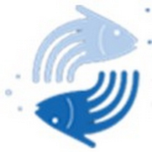 Sea Coast Chiropractic and Wellness