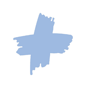 The Chiropractic Doctor