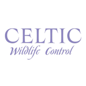 Celtic Wildlife Control - Logo