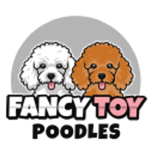 Fancy Toy Poodles - Logo