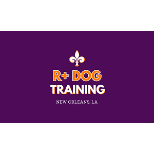 R+ Dog