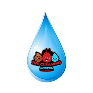 The Cleaning Source - Water damage restoration service in Indianapolis