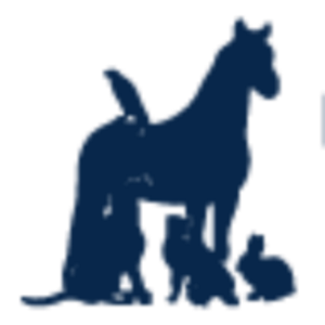 D'Iberville Veterinary Hospital - Logo