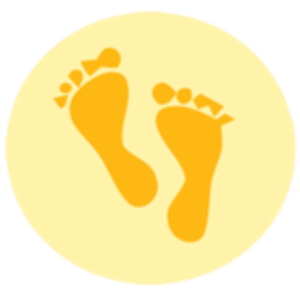 Barefoot Appraisals Inc - Logo