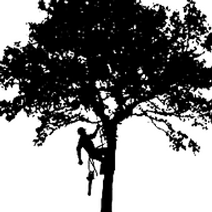 Southern Ohio Tree Service - Logo
