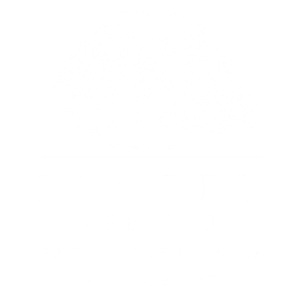 Rooted Tree Care - Logo