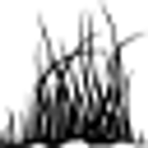 Long Grass Studio & Workshop - Logo
