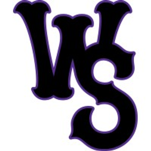 Winston Salem Dash - Logo
