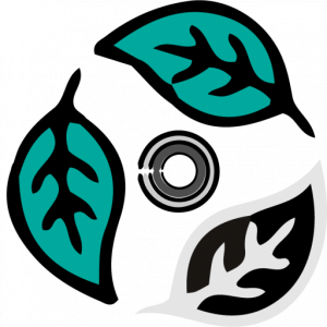 Natural Focus Photography - Logo