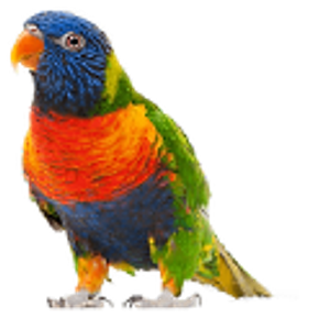 Parrot Key Caribbean Grill - Logo