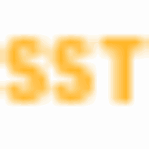 Sunset Septic Tank Co - Logo