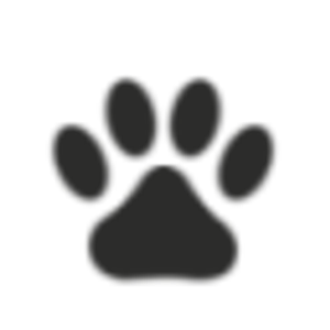 Moon Valley Animal Hospital