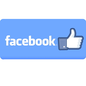 Carolina Estate Sales & Auction Services