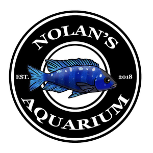 Nolan's Aquarium - Logo