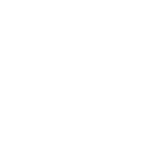 Connecticut Express Shuttle - Logo