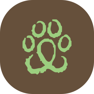 Chattanooga Holistic Animal Institute - Logo