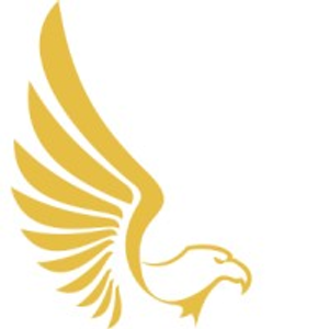 Elevated Staffing Services - Logo