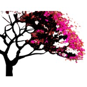 Stormy Tree Service