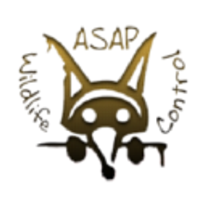 ASAP Wildlife Control And Removal - Virginia - Logo
