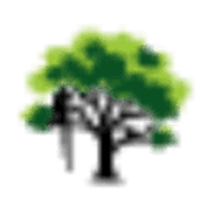Arbolpro Services Tree Trimming & Removal West Palm Beach