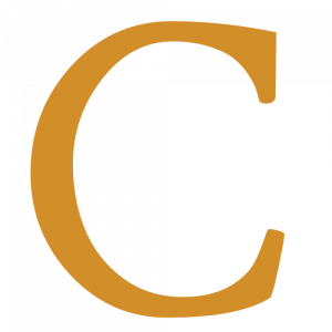 Clearview Roofing Northport - Logo