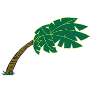 Hurricane Beach Car Wash - Logo