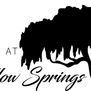 Villas at Willow Springs