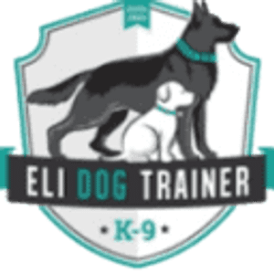 Eli Dog Trainer