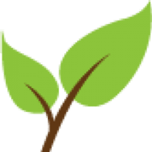 Turf Concepts Landscaping