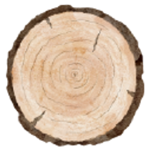 Central Mass Tree Inc