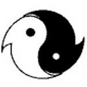 Holistic Acupuncture - Logo