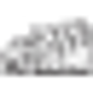 Delaware Storefronts LLC - Logo