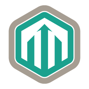 Rizer Technology Solutions