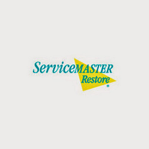 ServiceMaster DRR