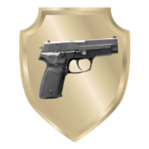 BB Austin Guardian Defender - Logo