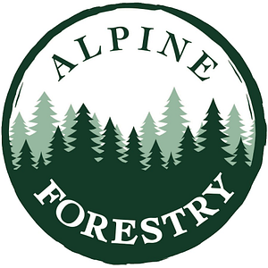 Alpine Forestry
