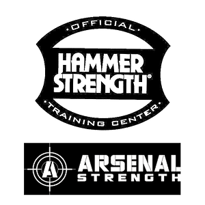 Silverback Gym - Logo