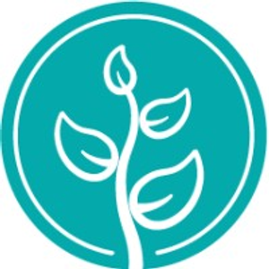 Elm Chiropractic - Logo