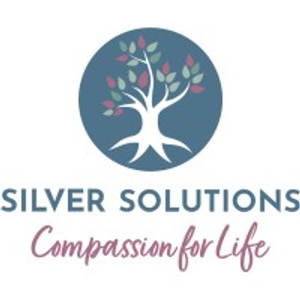 silver solutions