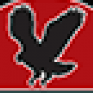 HAWK Construction Inc.