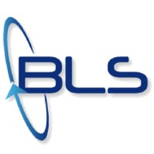 Blue Logic Solutions, LLC