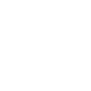 Soul Beauty Wellness - Logo