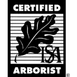 All American Tree Care - Logo
