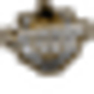 Lakeside Rodeo Arena - Logo